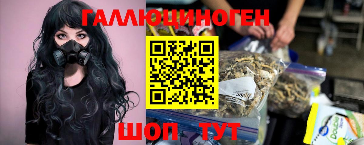Галлюциногенные грибы GOLDEN TEACHER Спасск-Дальний