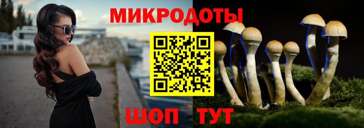 Спасск-Дальний  Галлюциногенные грибы Psilocybine cubensis  Галлюциногенные грибы GOLDEN TEACHER  Вход с VPN 